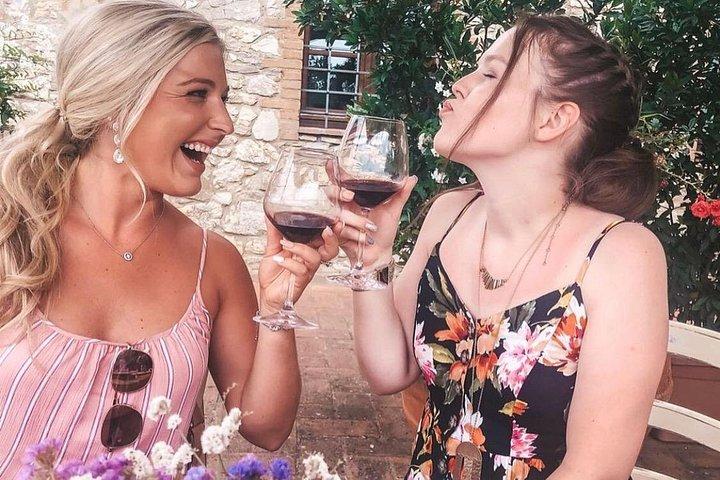Private Day Trip Wine Experience with lunch in Chianti Classico