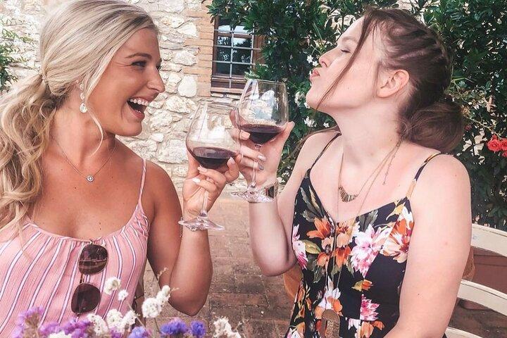 Visite privée d'une demi-journée: expérience viticole du Chianti Classico.