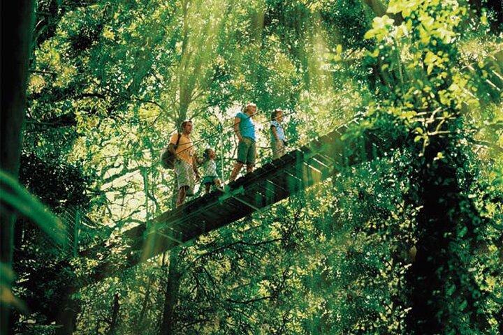O'Reilly's & Lamington National Park dalla Gold Coast