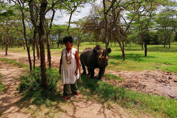 Dagsafari till Olpejeta Rhino conservancy