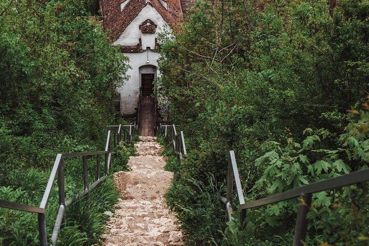 Hike&City Private tour - Tour cultural de Brasov seguido de Hiking Tampa Mountain