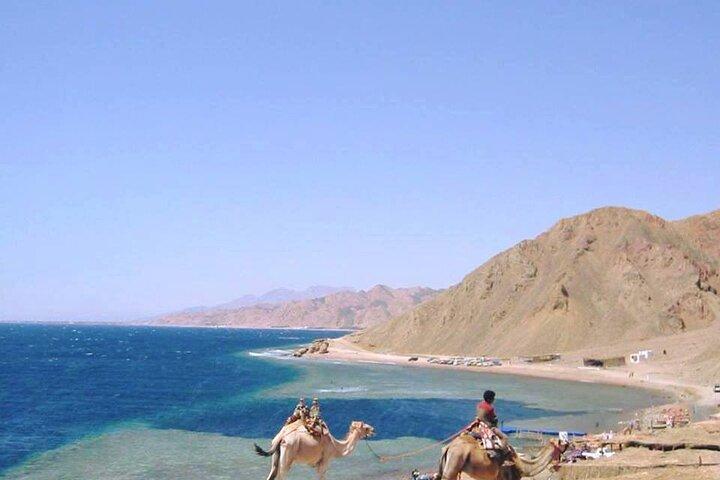 Safari in quad nel canyon, snorkeling al Blue Hole e visita a Dahab