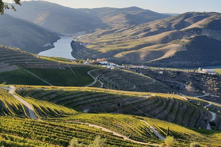 Privétour: Douro Valley Wine Experience vanuit Porto