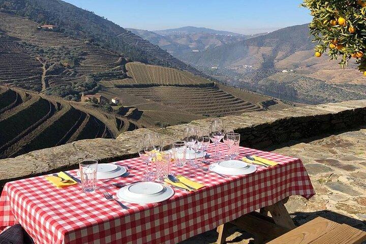 Privétour: Douro Valley Wine Experience vanuit Porto
