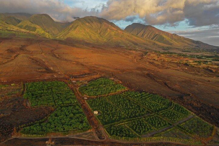 Lahaina: Maui Ku'ia Estate Guided Cacao Farm Tour and Tasting