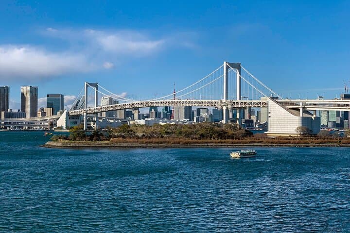 Full-Day Private Tour to Discover The Best of Tokyo