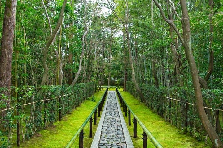 Private One Day Nikko Tour with Bilingual driver