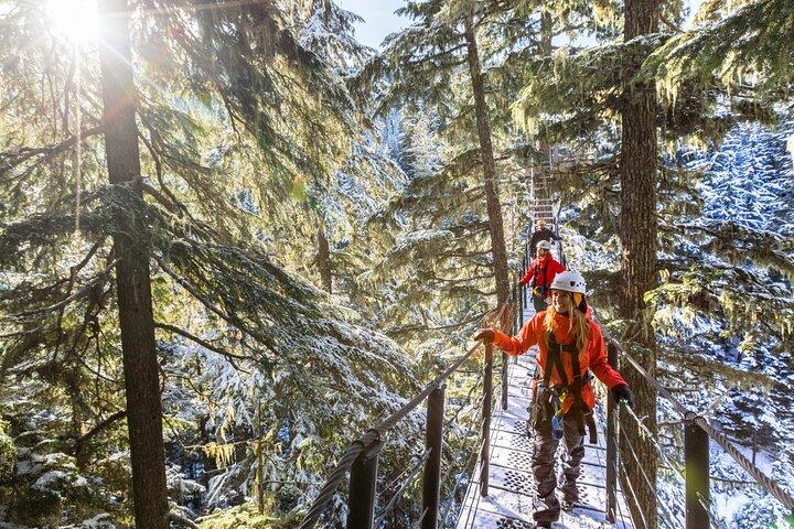 Zipline Adventure i Whistler