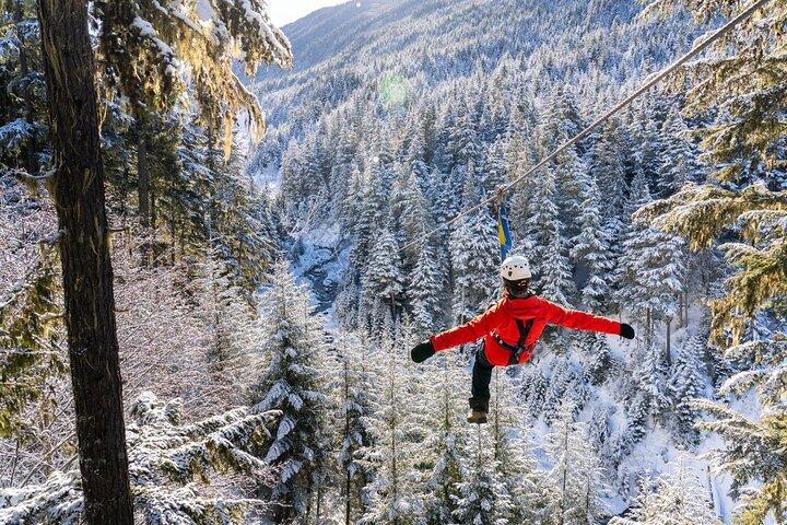 Zipline Adventure i Whistler