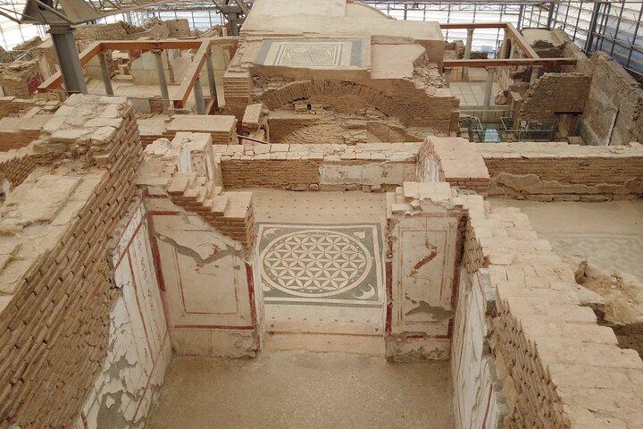 Privat rundtur för kryssare: Ephesus and the Terrace Houses of Wealthy Efesians