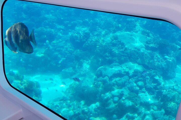 Semi Submarine Tour in Saint Anne Marine National Park