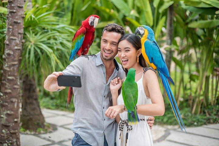 Bali Bird Park Adgangskort