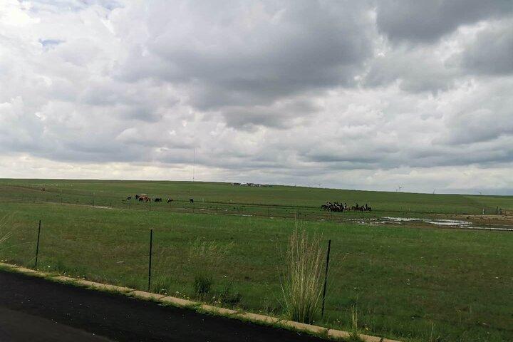 Private Full-Day Tour to Huitengxile Grassland from Hohhot