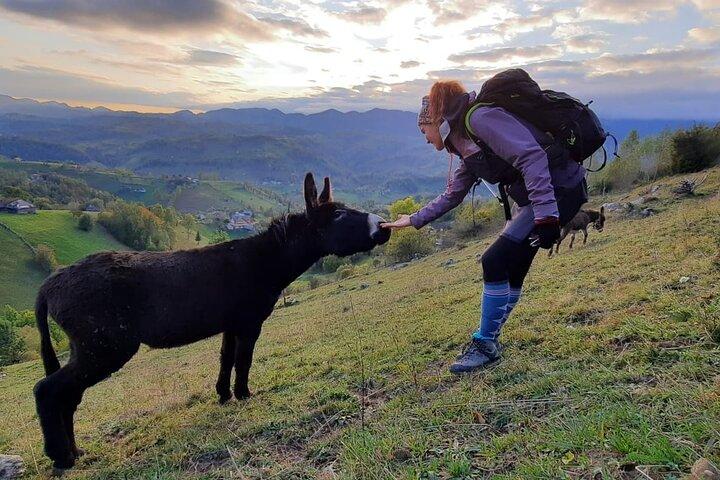 Hiking thought the best mountain villages in Romania-Private tour from Brasov