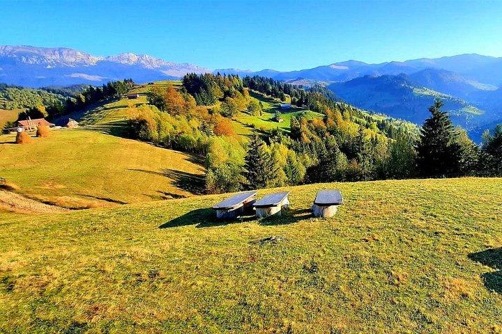 ハイキングはルーマニアで最高の山の村を考えました-ブラショフからのプライベートツアー