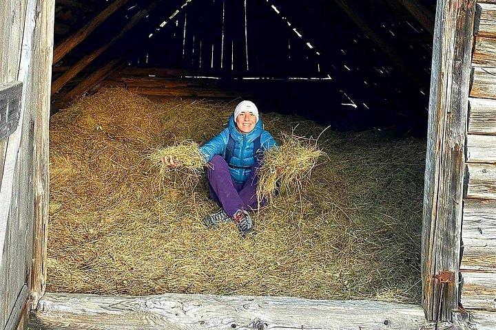 ハイキングはルーマニアで最高の山の村を考えました-ブラショフからのプライベートツアー