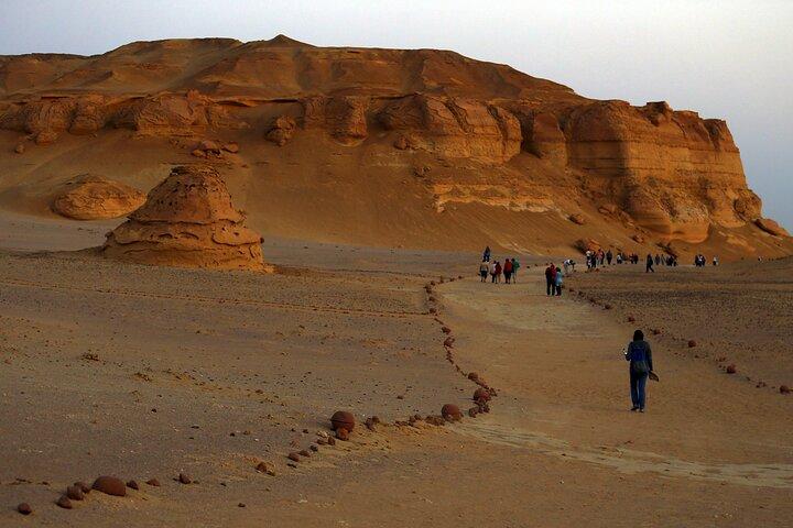 Wadi Al Hitan-dagtrip vanuit Caïro