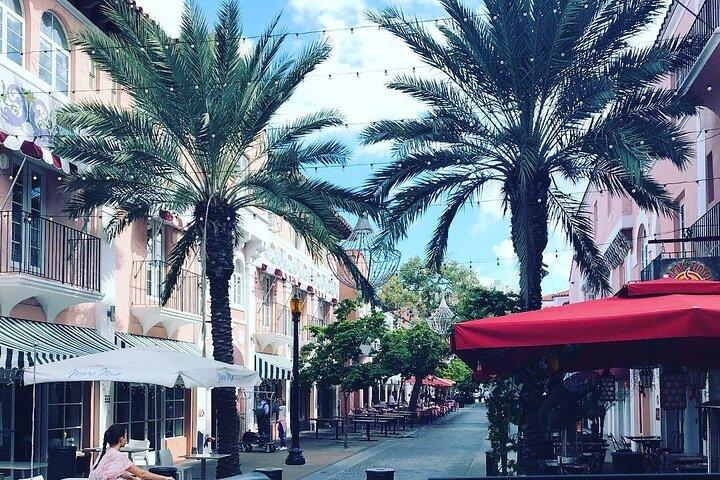 Private Miami City Sightseeing Tour