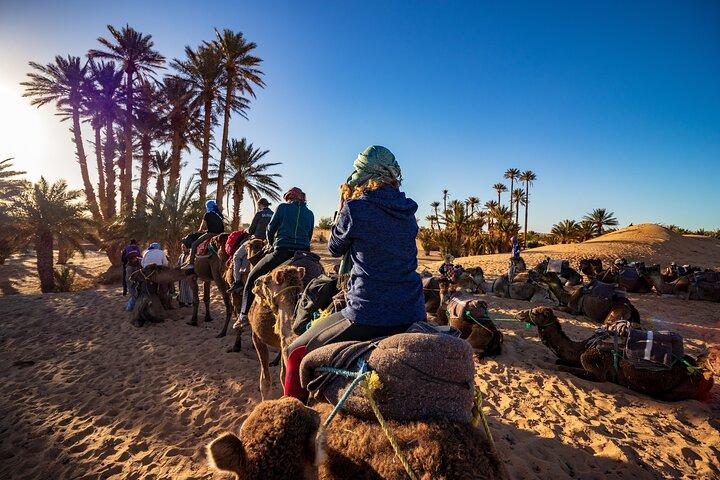1.5-Hour Small-Group Camel Ride Excursion to Palm Grove from Marrakech