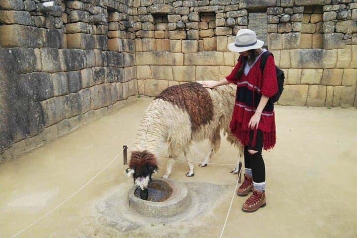 Machu Picchu Full Day - Private Tour