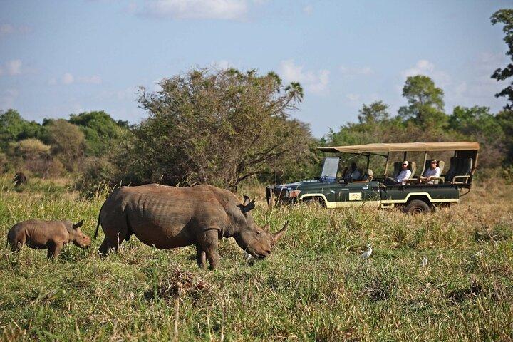 3 Tage Meru National Park Safari