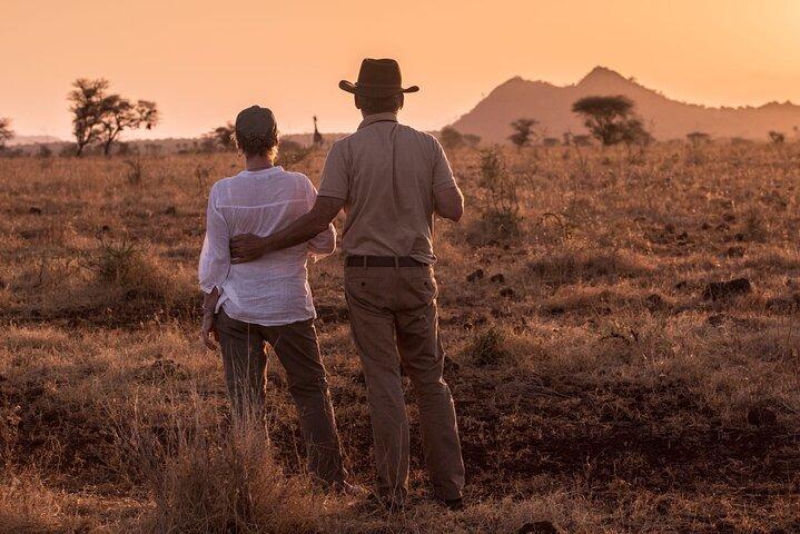 3 Tage Meru National Park Safari