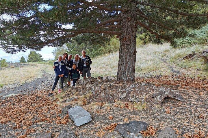 Van Catania: privé mt. Etna trekking en picknick