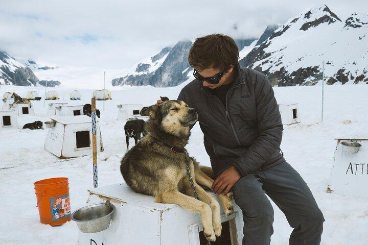ヘリコプターで氷河着陸の犬ぞり体験