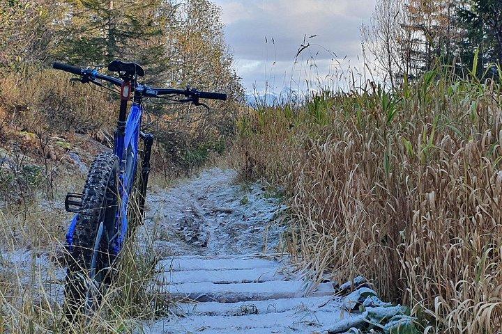 Premium eBike-hyra