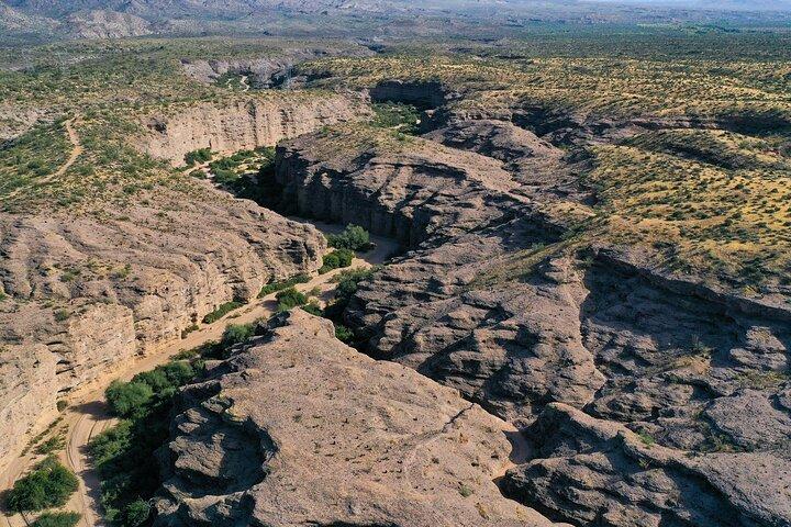 Sonoran Desert Jeep Tour