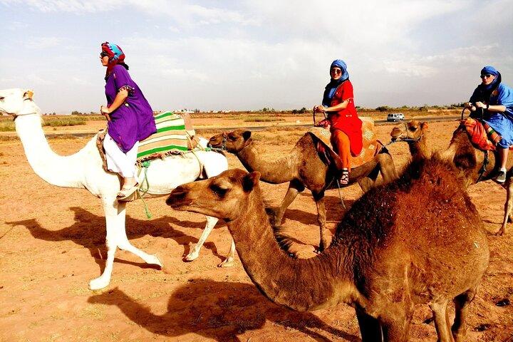 ラクダに乗って文化的なアトラス山脈とアガファイ砂漠の日帰り旅行