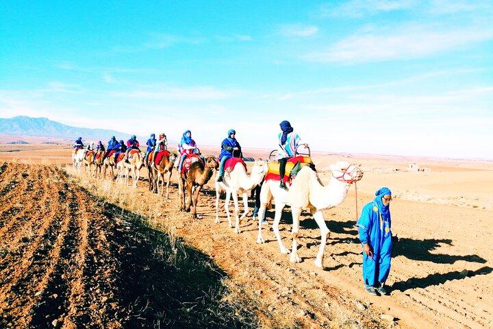 ラクダ乗り付きの最高のアルタス山脈とベルベル人の村の日帰り旅行