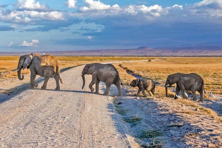 3 dia Amboseli Safari