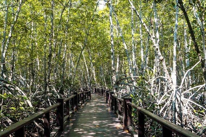 プランブリ森林公園とカオデーンがホアヒンからのツアーに参加