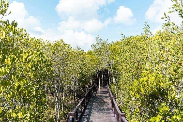 プランブリ森林公園とカオデーンがホアヒンからのツアーに参加