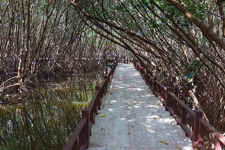 プランブリ森林公園とカオデーンがホアヒンからのツアーに参加