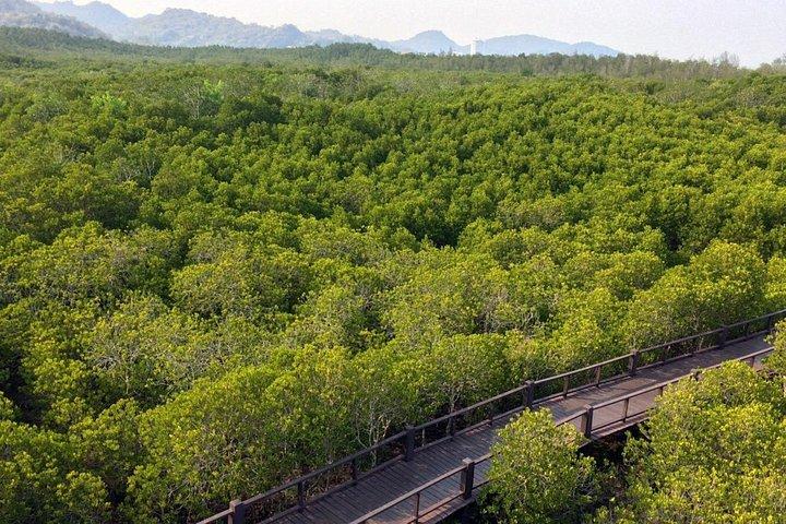 プランブリ森林公園とカオデーンがホアヒンからのツアーに参加