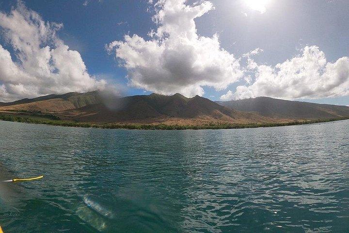 Kayak e Snorkel: Maui West Shore