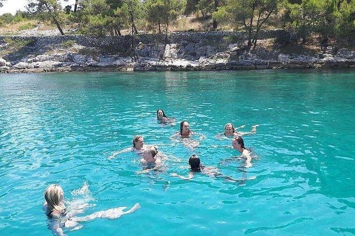 BolとMilna（Island Brac）のスプリットまたはトロギールからのプライベートボートツアー