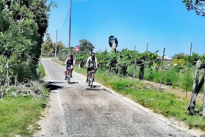 リオ・ピッコロ: ラグーンでのフラミンゴ＆バードウォッチングバイクツアー