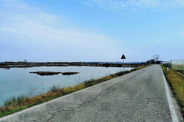 リオ・ピッコロ: ラグーンでのフラミンゴ＆バードウォッチングバイクツアー