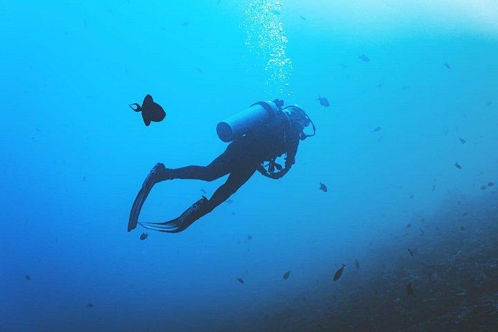 Private Diving Nusa Dua for Beginners - with Hotel Pick Up