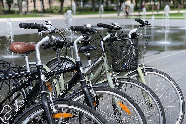 ビリニュスでのシティ バイクのレンタル 1 日