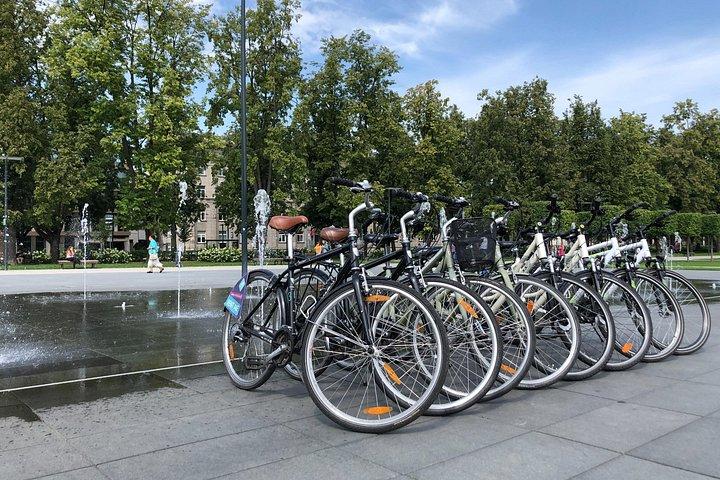 ビリニュスでのシティ バイクのレンタル 1 日