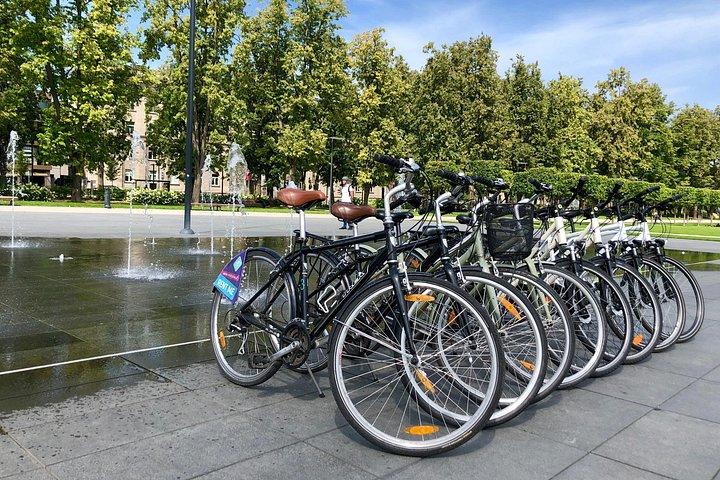 ビリニュスでのシティ バイクのレンタル 1 日