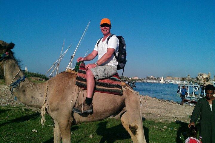 Camel Ridding marsa alam safari from Camel Yard