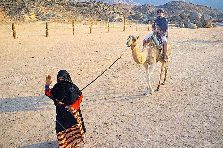 Camel Ridding marsa alam safari from Camel Yard