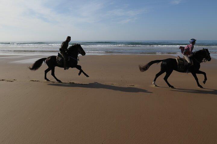 2 timmars hästridning strand och sanddyner i Essaouira Marocko