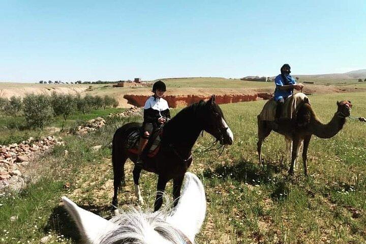 Horseback Riding in a special agafay desert