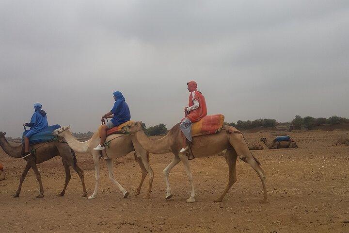 Atlas Mountains And Camel Ride Day Trip From Marrakech